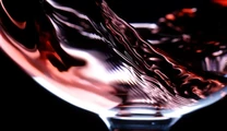 Kiből válhat Master of Wine? című cikk borítóképe
