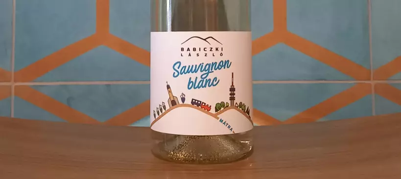 Babiczki László: Sauvignon Blanc 2021 című cikk borítóképe