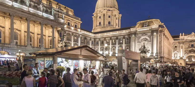 Mit igyunk a Borfesztiválon? című cikk borítóképe