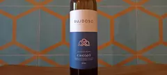 Bujdosó Pincészet: Csomó Sauvignon Blanc 2021 című cikk borítóképe