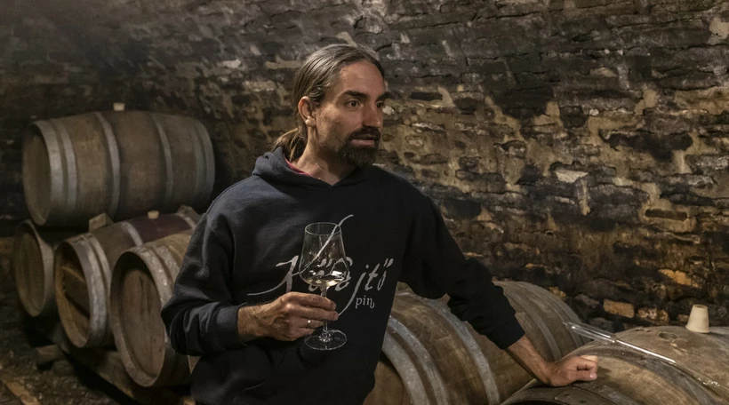 Én ültettem, most a saját kezemmel vágtam ki című cikk borítóképe