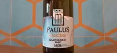 Paulus Molnár Borház: Selection Sauvignon Blanc 2021 című cikk borítóképe
