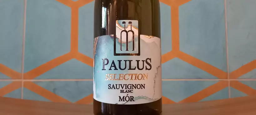Paulus Molnár Borház: Selection Sauvignon Blanc 2021 című cikk borítóképe