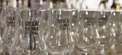 Brillante 2020 című cikk borítóképe