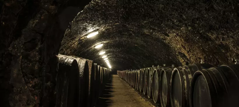 Tokaj, ahogy a felvidéki fiatalok látják című cikk borítóképe