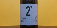 Winelife Borászat: 2w Zweigelt 2024 című cikk borítóképe