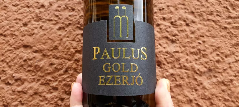 Paulus Molnár Borház: Gold Ezerjó 2023 című cikk borítóképe