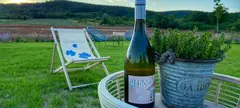 Dűlőbisztrót nyitott a Harsányi Pincészet című cikk borítóképe