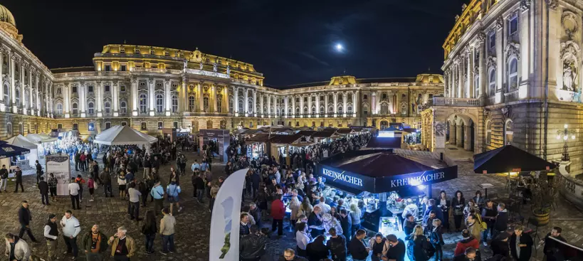 Mit igyunk a Budapest Borfesztiválon? című cikk borítóképe