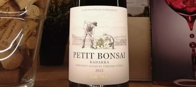 Vida Családi Borbirtok: Petit Bonsai Kadarka 2022 című cikk borítóképe