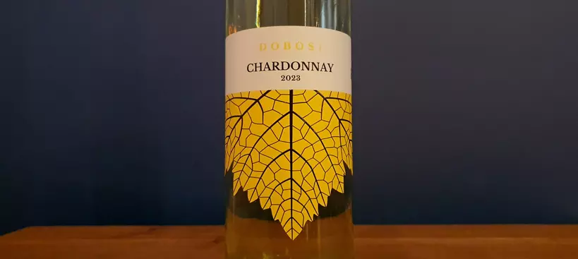 Dobosi Pincészet: Bio Chardonnay 2023 című cikk borítóképe