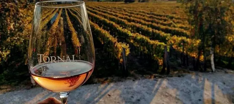 Somló és Tokaj kapta a trófeát! című cikk borítóképe