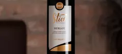 Stier Pincészet: Merlot 2015 című cikk borítóképe
