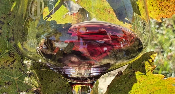  című cikk borítóképe