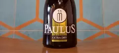 Paulus Molnár Borház: Sauvignon Blanc extra dry 2020 című cikk borítóképe
