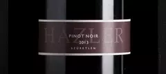 Házler Pince: Pinot Noir 2013 című cikk borítóképe