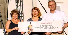 Karácsonyig nincs megállás című cikk borítóképe