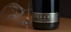 Kikelet Pince: Brut Pezsgő 2015 című cikk borítóképe