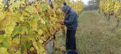 Ködös hétköznapok című cikk borítóképe