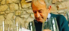 Csak a borokra figyelj! című cikk borítóképe