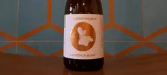 Hilltop Neszmély Borászat: Kamocsay Prémium Sauvignon blanc 2020 című cikk borítóképe