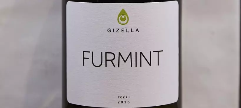 Gizella Pince: Furmint 2016 című cikk borítóképe