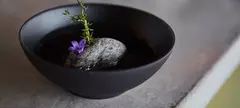 Szakadjunk ki a valóságból! című cikk borítóképe