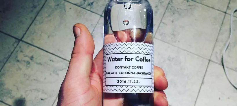 Vizezett című cikk borítóképe