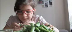 A 10 legnépszerűbb ételrecept 2019-ből című cikk borítóképe