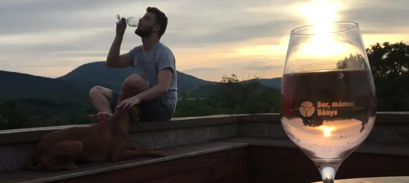 Bor, Jakab… Pro Vinum! című cikk borítóképe