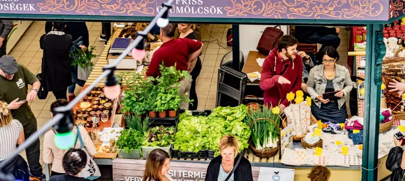 Pancsoljunk a Hold utcában! című cikk borítóképe