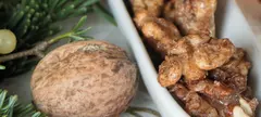 Pirított fahéjas dió című cikk borítóképe