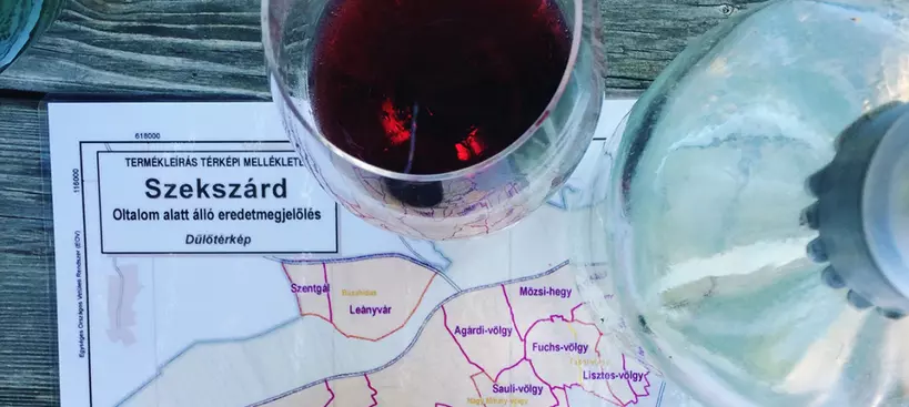 Szekszárd, szüret előtt című cikk borítóképe