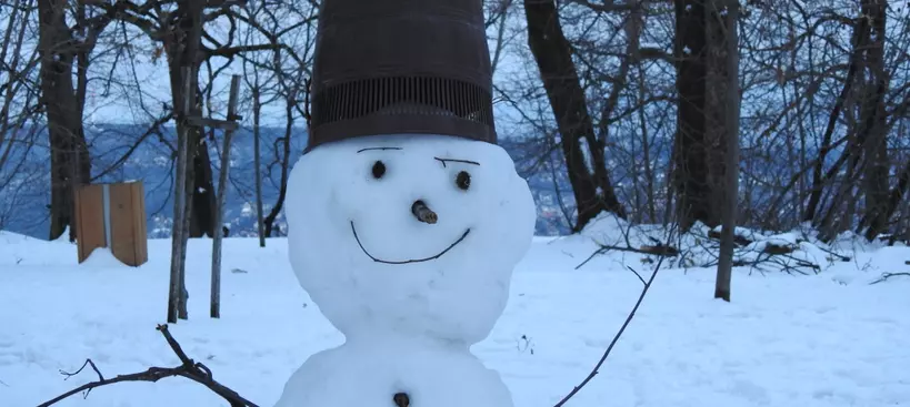 Variációk Vincére című cikk borítóképe