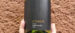 Miklós Csabi Pincészet: Csoda Ezerjó 2022 című cikk borítóképe