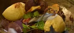 Aum Natural című cikk borítóképe