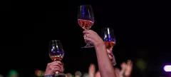 Mit igyunk a Paloznaki Jazzpikniken? című cikk borítóképe
