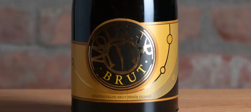 Molnár és Fiai Pincészet: Zöldveltelini Brut Fehér Pezsgő 2018 című cikk borítóképe