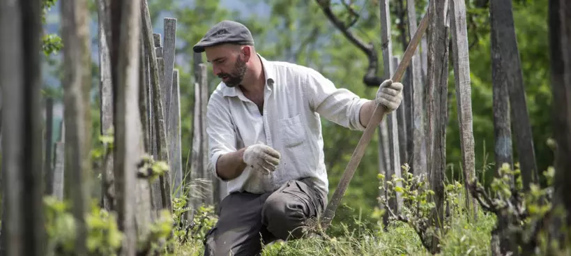Gondolatainkkal befolyásoljuk a világot! című cikk borítóképe