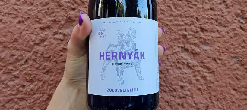 Hernyák Birtok: Zöldveltelini 2021 című cikk borítóképe
