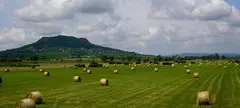 Fehér lovon című cikk borítóképe