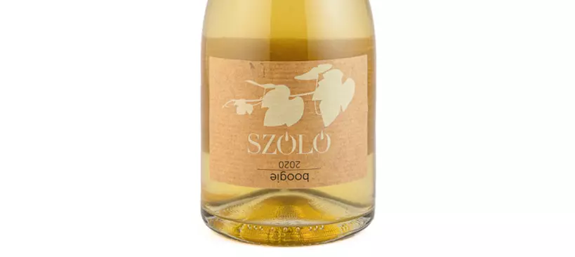 SZÓLÓ: Boogie 2020 című cikk borítóképe