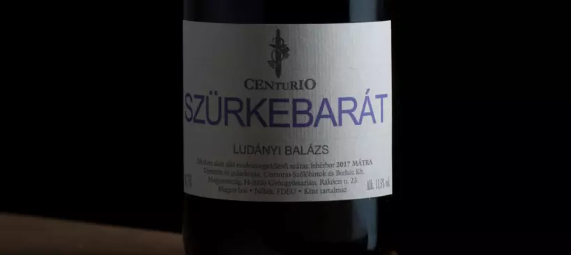 Centurio Szőlőbirtok – Ludányi Balázs: Szürkebarát 2017 című cikk borítóképe