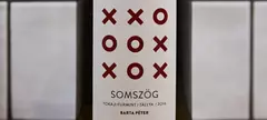 Barta Péter: Somszög Furmint 2016 című cikk borítóképe