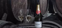 Elhagyja Katalóniát a Freixenet és a Codorníu? című cikk borítóképe