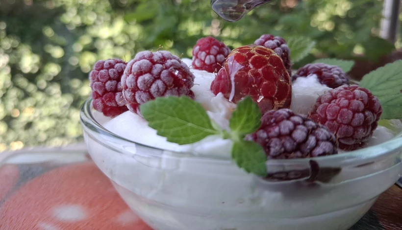 Joghurt házilag című cikk borítóképe